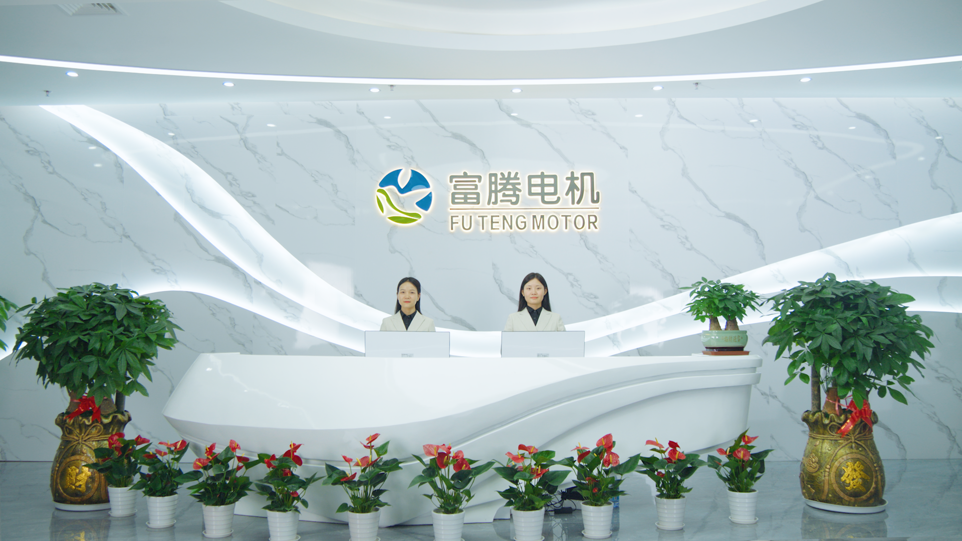 China Factory - Dongguan Futeng Motor Co., Ltd