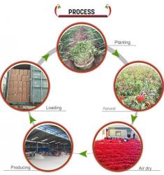 China Factory - Neihuang Xinglong Agricultural Products Co. Ltd
