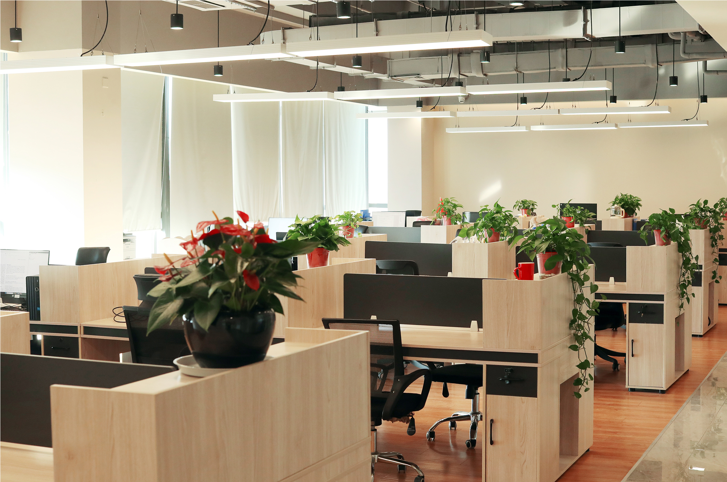 China Factory - Nanjing Rebeads Biotech Co.,Ltd