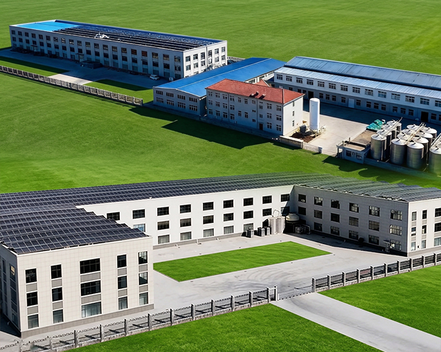 China Factory - LILONG SPIRITS GROUP