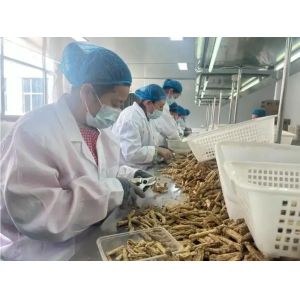 China Factory - Shuntai (GZ) Health Care Industry Co.,LTD