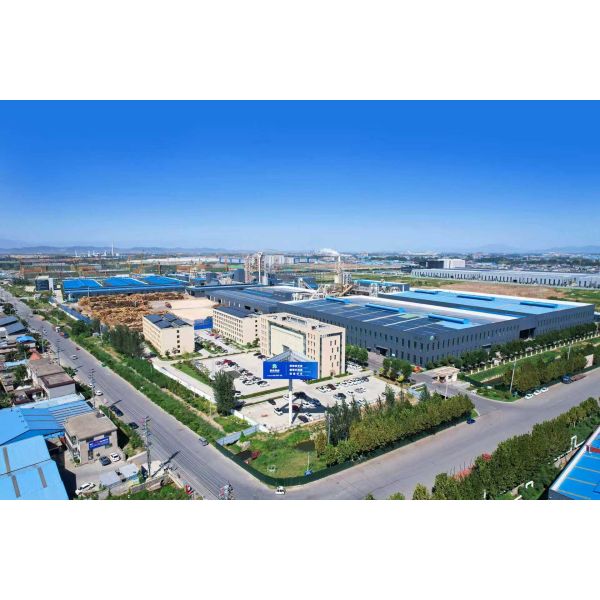 China Factory - Shandong Xingang Group 