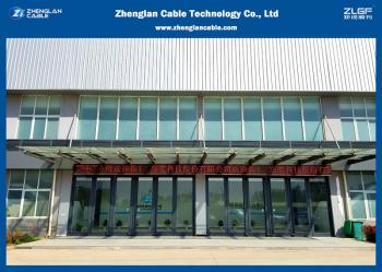 China Factory - Zhenglan Cable Technology Co., Ltd