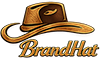 China factory - Shenzhen Brand Hat Co., Ltd.