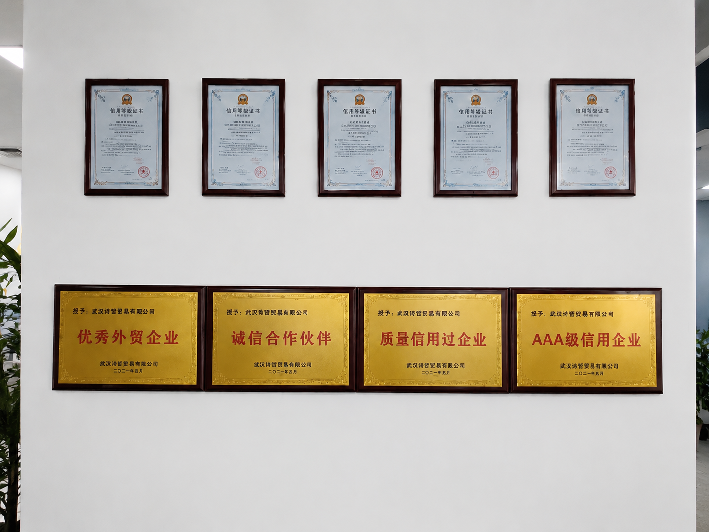 China Factory - Wuhan Shizhe Trading Co., Ltd.