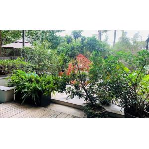 China Factory - Guangzhou Wisdom Wheel Science Technology Ltd.