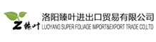 China factory - LUOYANG SUPER FOLIAGE IMPORT&EXPORT TRADE CO,LTD