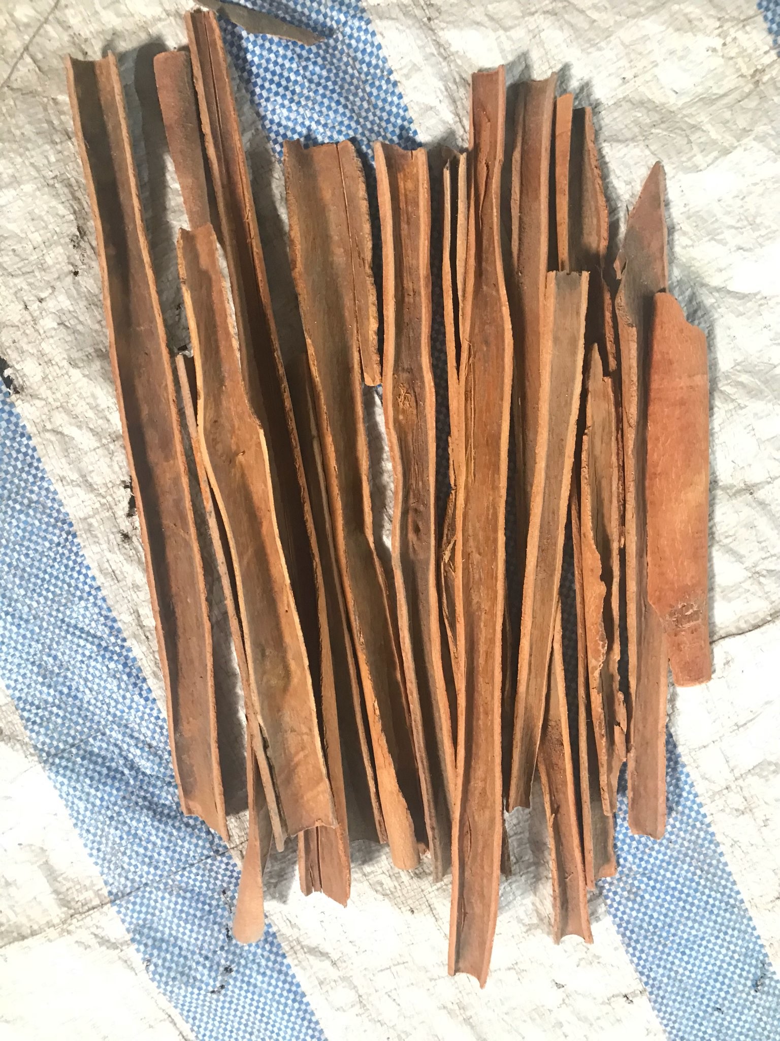 China Long Cassia Cinnamon Sticks 1% Max Origin Of Vietnam