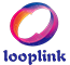 China factory - Shandong Looplink Supply Chain Co., Ltd.