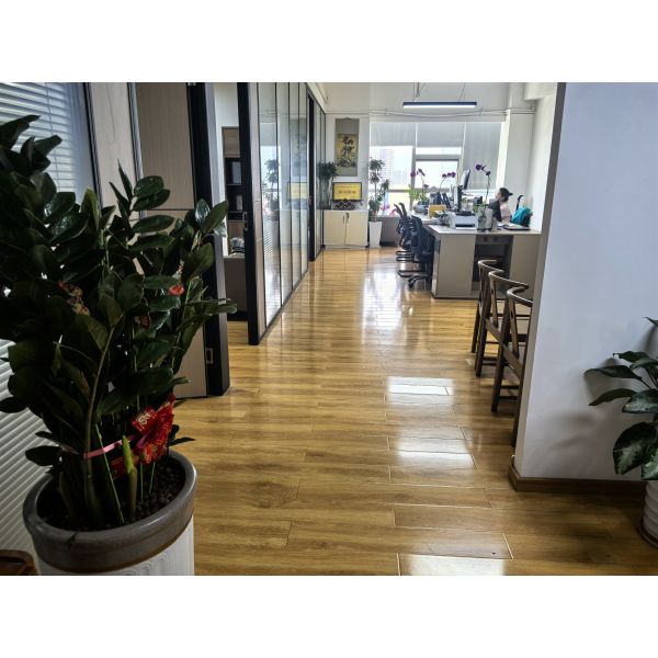 China Factory - PARAMOUNT LOGISTICS(SHENZHEN) CO.,LIMITED