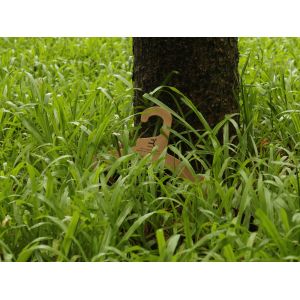 China Factory - Dongguan Runhee paper products Co.,Ltd