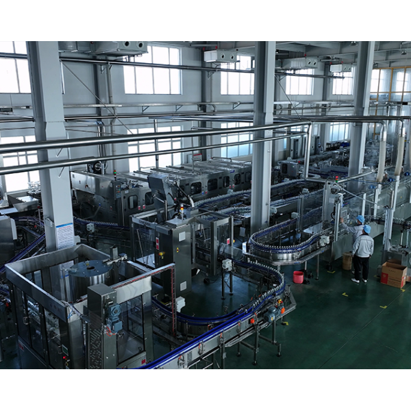 China Factory - LILONG SPIRITS GROUP