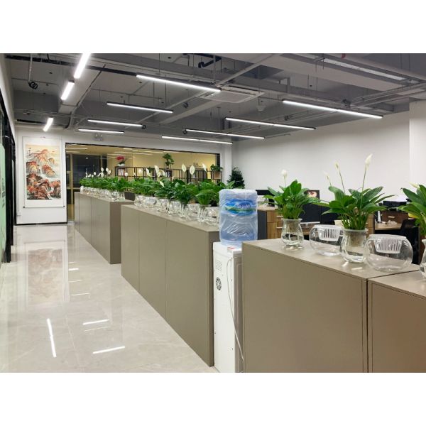 China Factory - Friday International Logistics (Guangzhou) Co., Ltd.