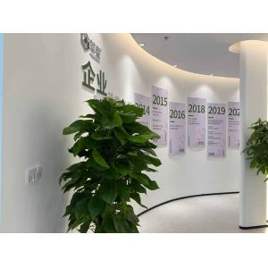 China Factory - Shenzhen Guptomes Group Co., Ltd.