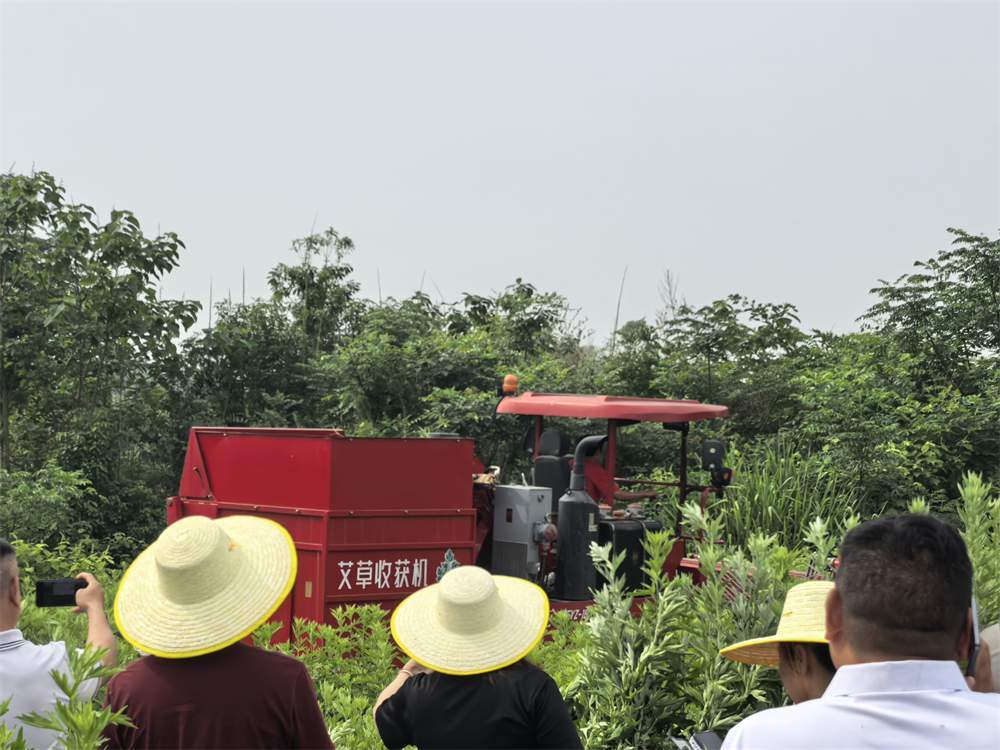 China Factory - Hubei Yishiyuan Chinese Mugwort Biotechnology Company Limited