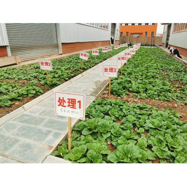 China Organic Intermediates products