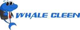 China factory - Guangdong Blue Whale Ultrasonic Equipment Co;Ltd