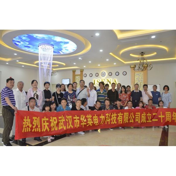 China Factory - Wuhan Huaying Electric Power Tech & Science Co., Ltd