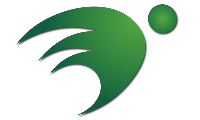China factory - Dorelom artificial grass group co,ltd.