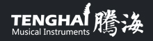 China factory - Guangzhou Tenghai Musical Instrument Co., Ltd.